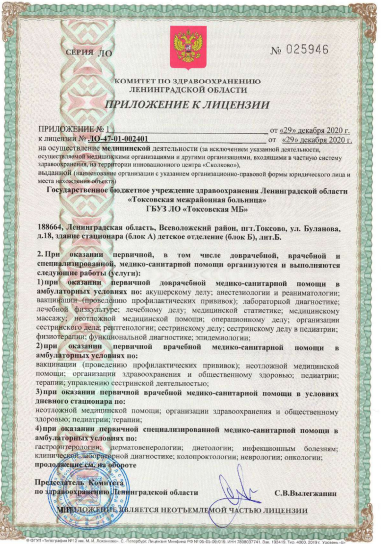 Лицензия Токсовская межрайонная больница