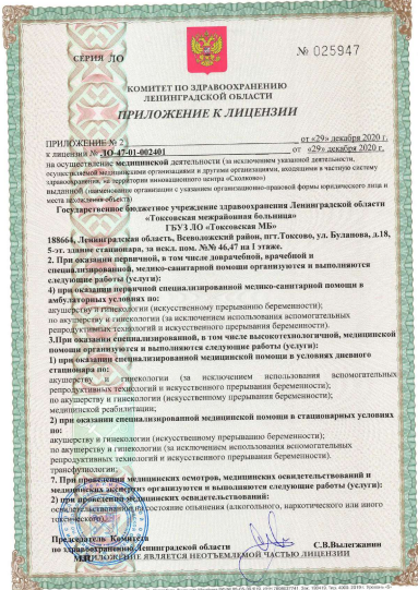 Лицензия Токсовская межрайонная больница
