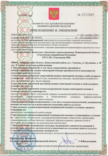 Лицензия Токсовская межрайонная больница